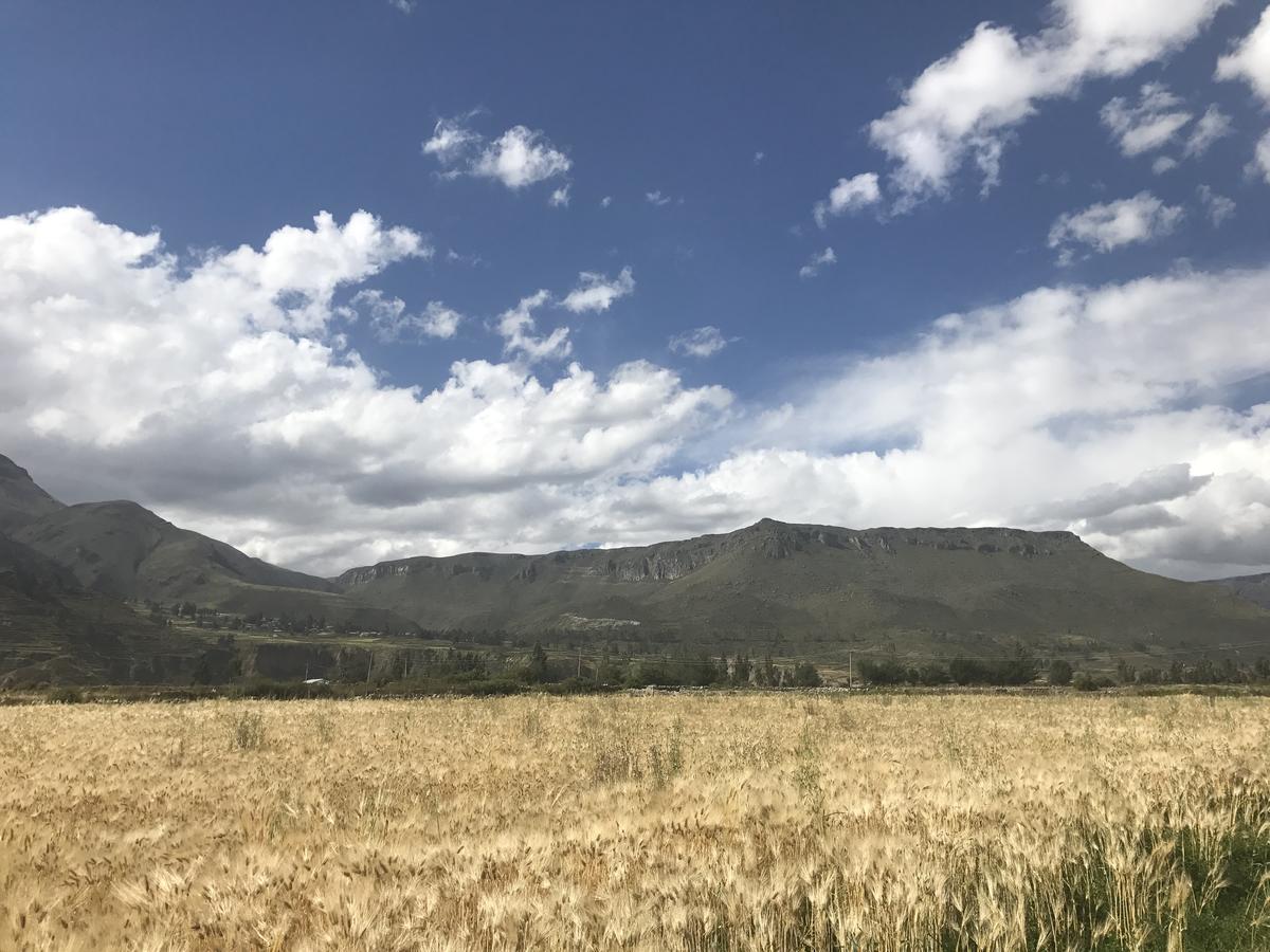 Casona Plaza Ecolodge Colca Янке Экстерьер фото